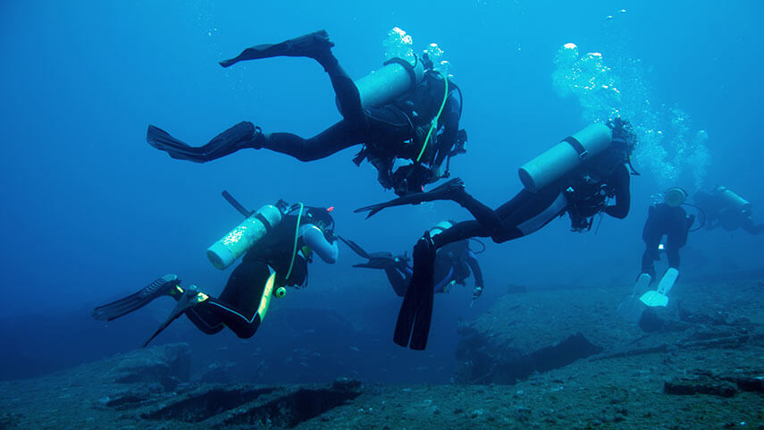 Scuba Diving in Key Largo