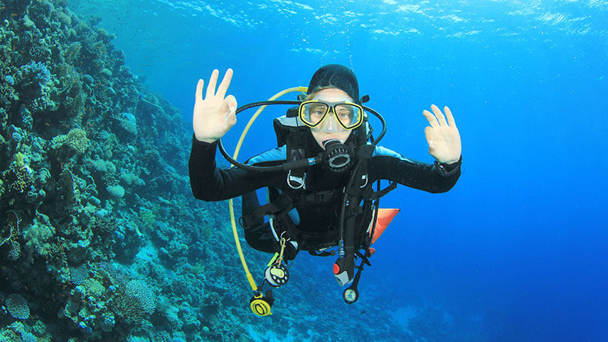 Scuba Diving in the Florida Keys