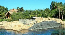 Discovery Cove