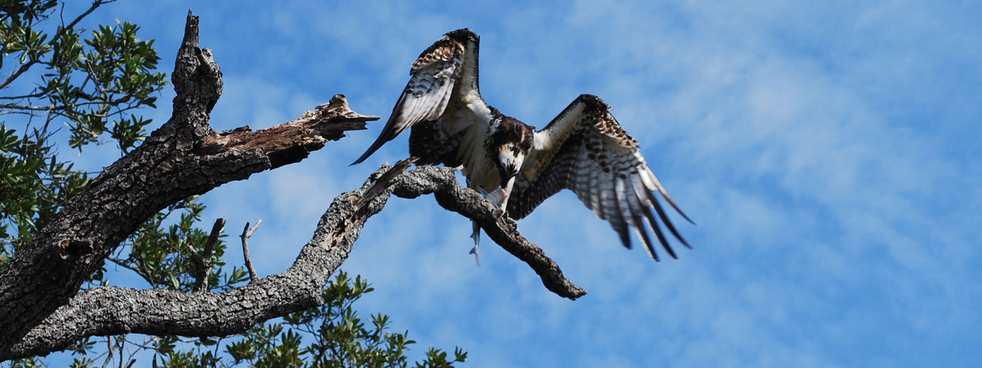 St. Marks National Wildlife Refuge