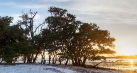 Thousand Islands Conservation Area