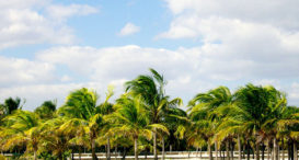 Crandon Park